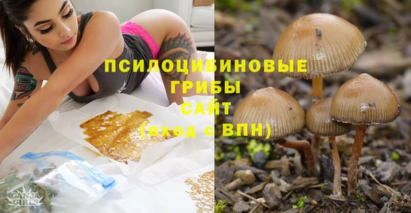 jwh Алзамай