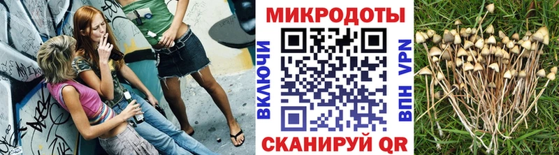 Галлюциногенные грибы MAGIC MUSHROOMS Аткарск